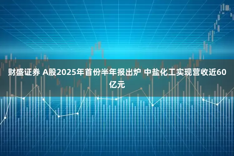 财盛证券 A股2025年首份半年报出炉 中盐化工实现营收近60亿元